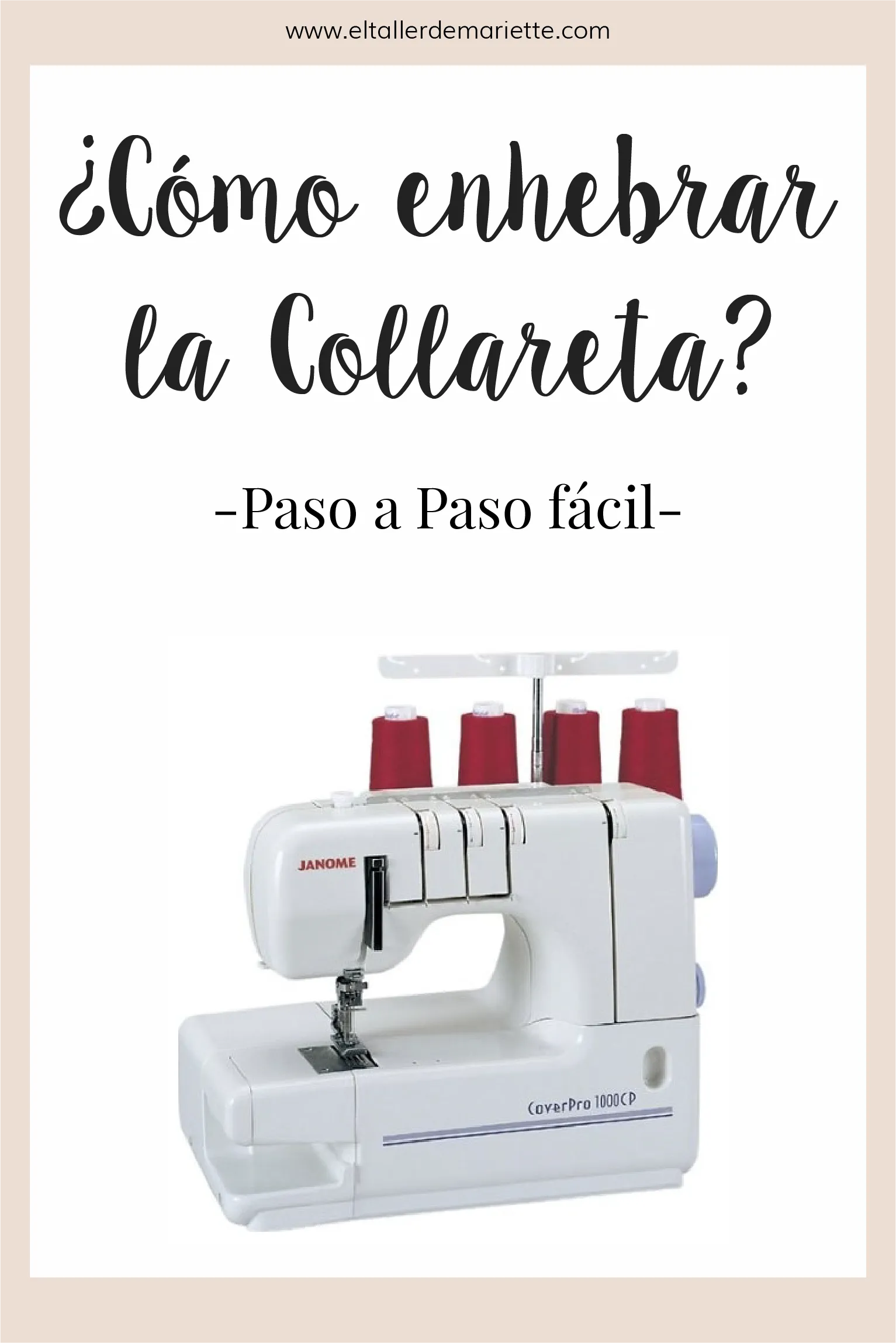 pin collareta